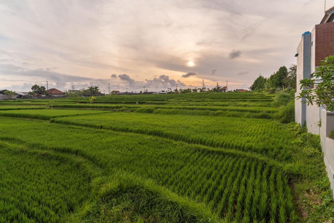 D'Macho Villas Ubud מראה חיצוני תמונה