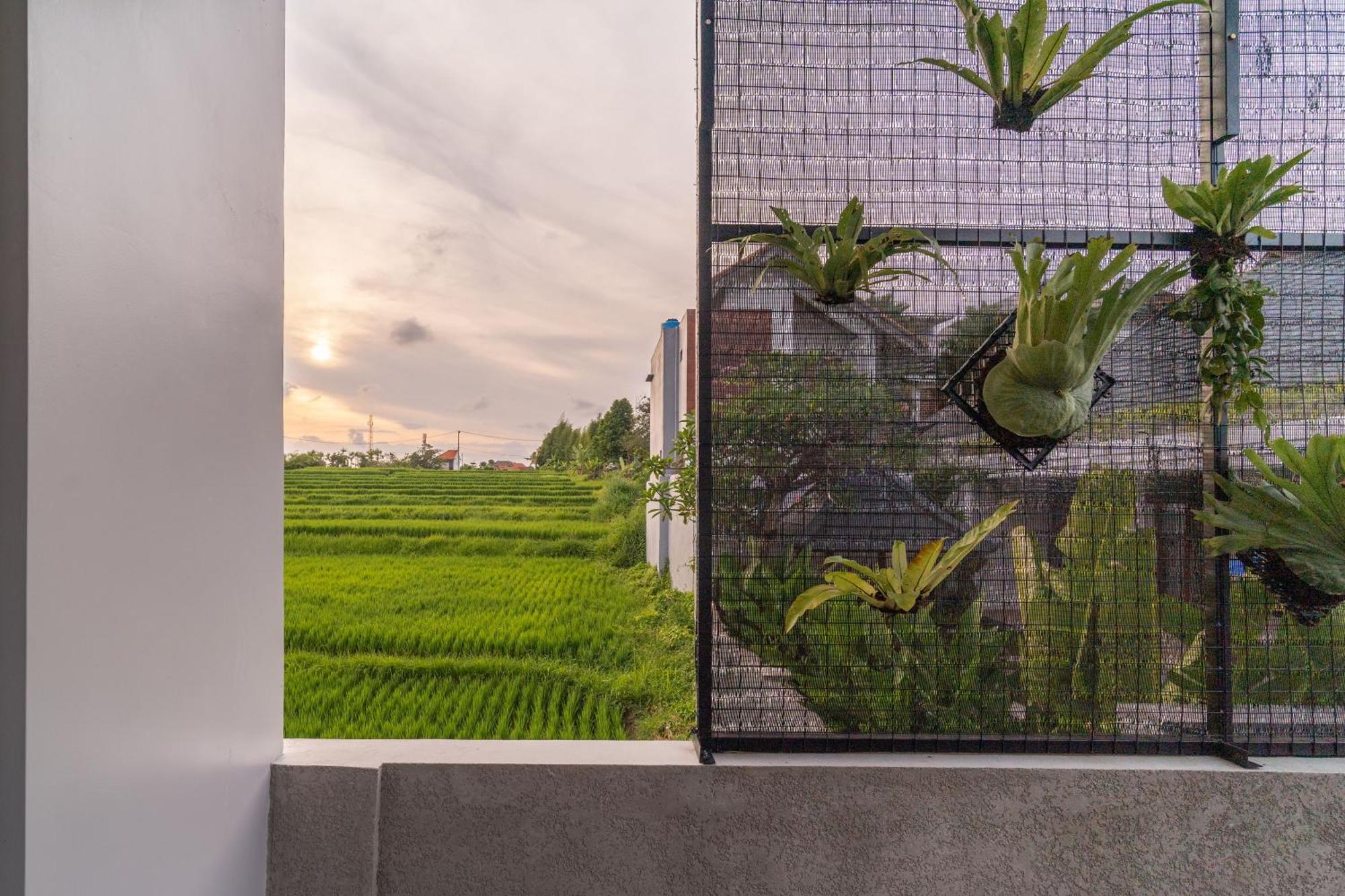 D'Macho Villas Ubud מראה חיצוני תמונה